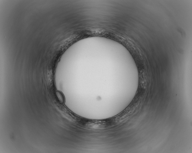 X0000111670563200908141431