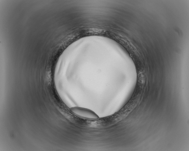 X0000111670564200908141431