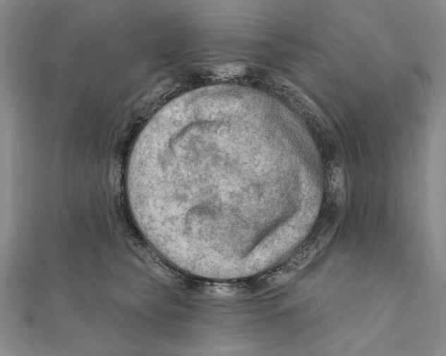 X0000111670565200908141431