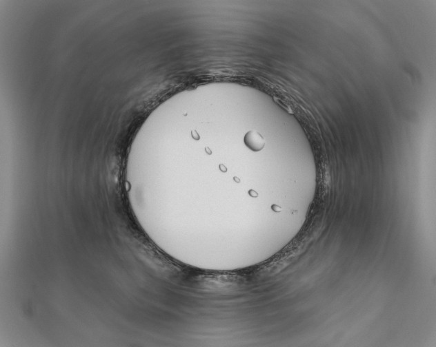 X0000111670567200908141431