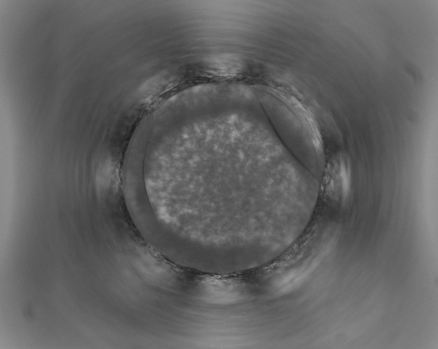 X0000111670568200908141431