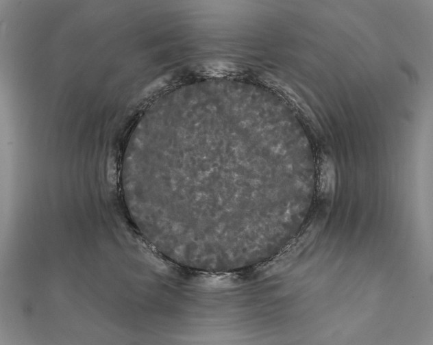 X0000111670569200908141431