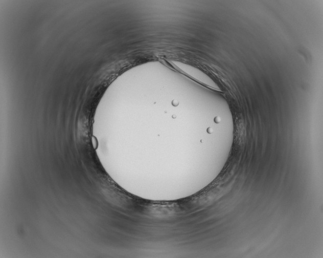 X0000111670571200908141431