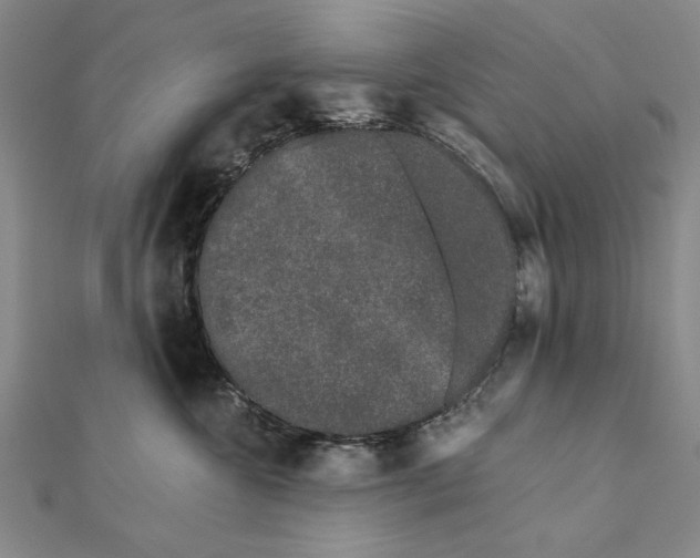 X0000111670572200908141431