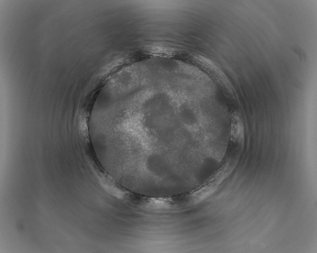 X0000111670573200908141431