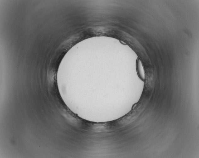 X0000111670574200908141431