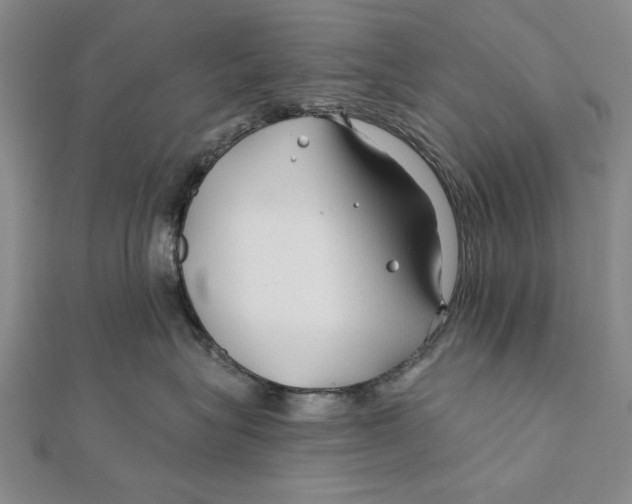 X0000111670575200908141431