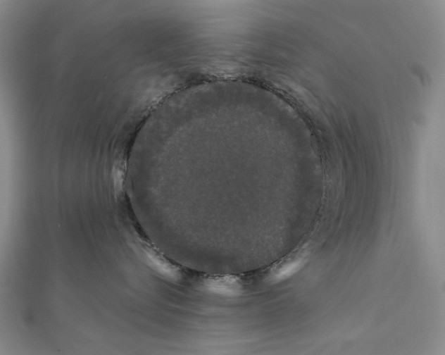 X0000111670576200908141431