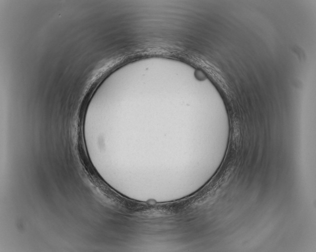 X0000111670578200908141431