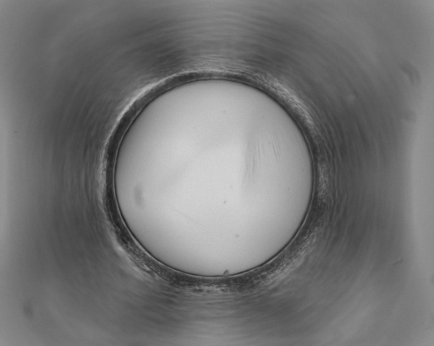 X0000111670580200908141431