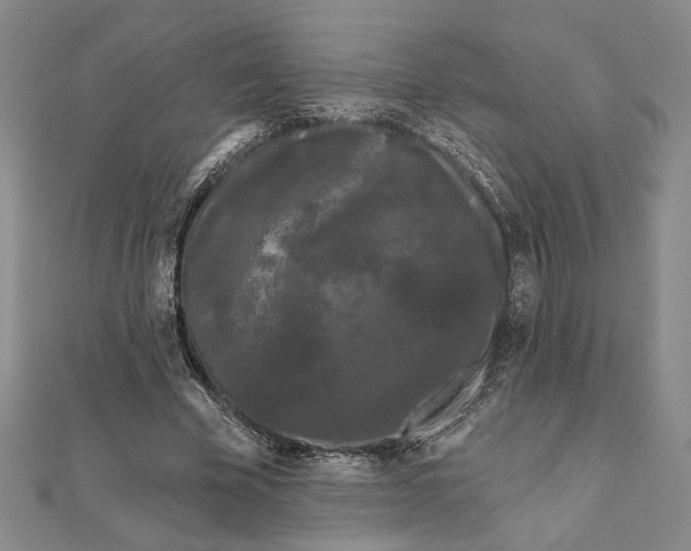 X0000111670585200908141430