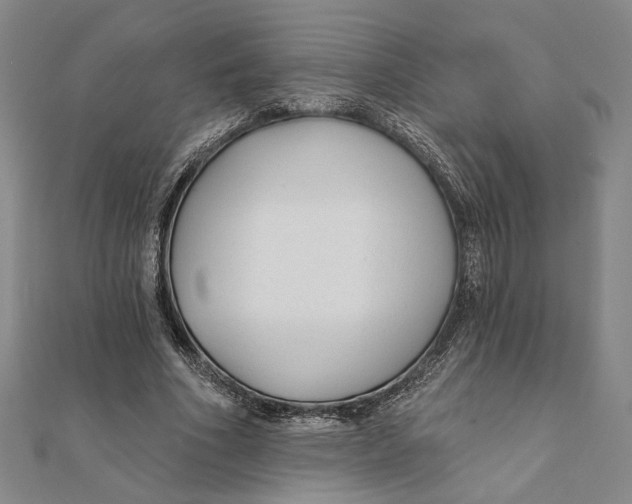 X0000111670586200908141430