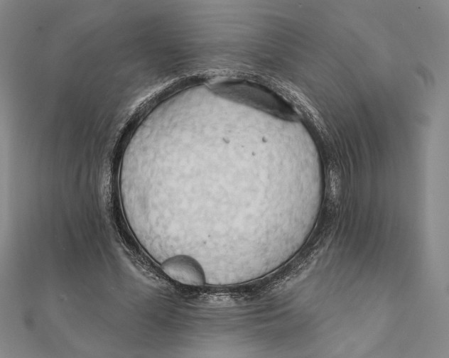 X0000111670588200908141430