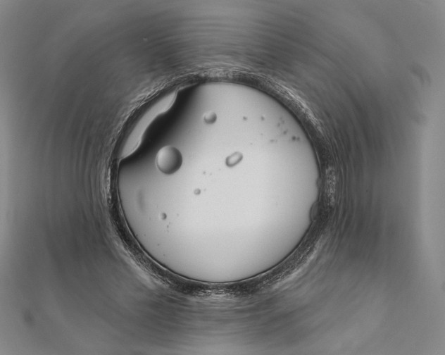 X0000111670589200908141430