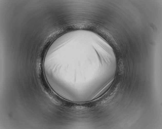 X0000111670590200908141430