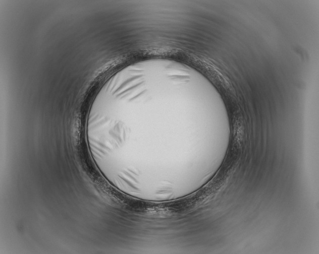 X0000111670591200908141430