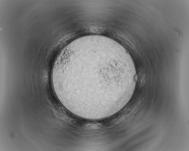 X0000111670595200908141430