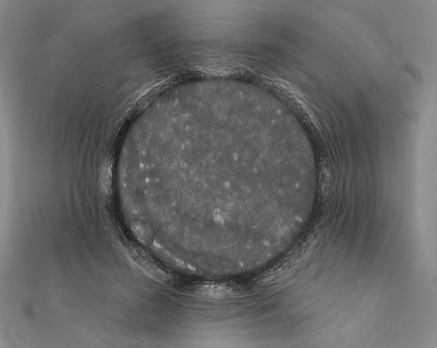 X0000111670596200908141430