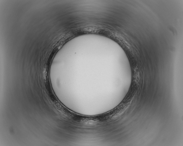 X0000111670597200908141430