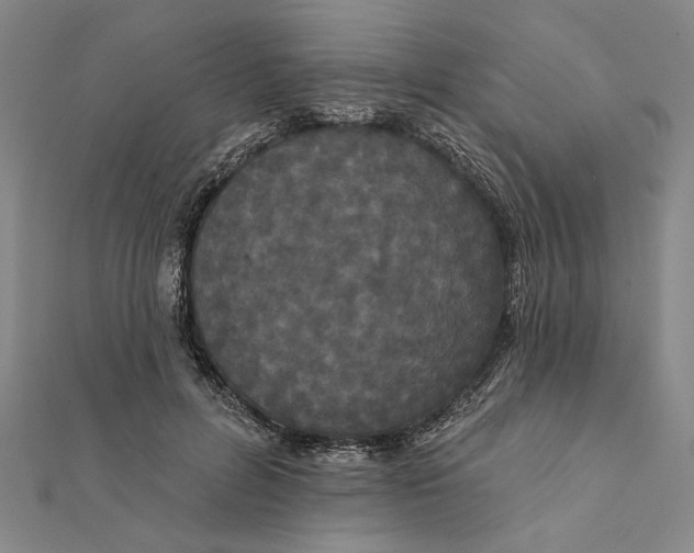 X0000111670600200908141430