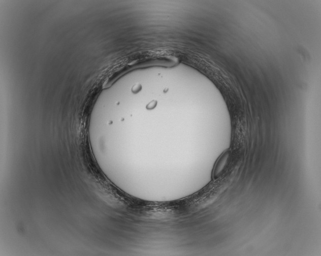 X0000111670601200908141430