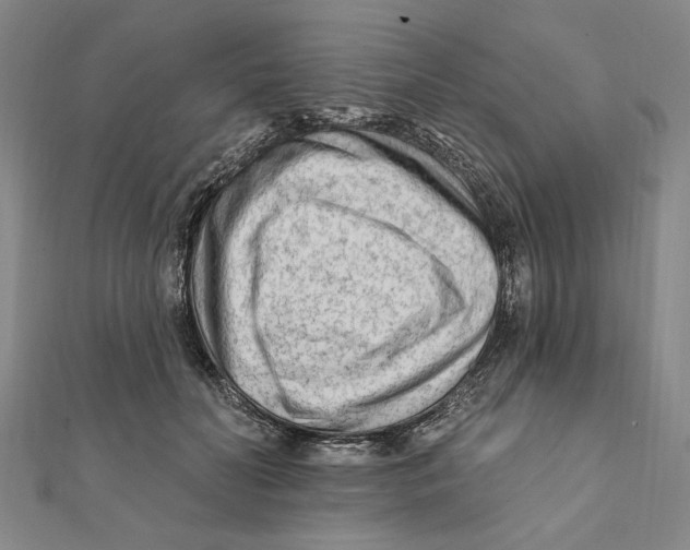 X0000111670606200908141430