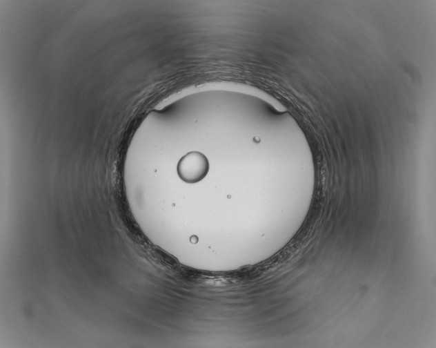 X0000111670611200908141430