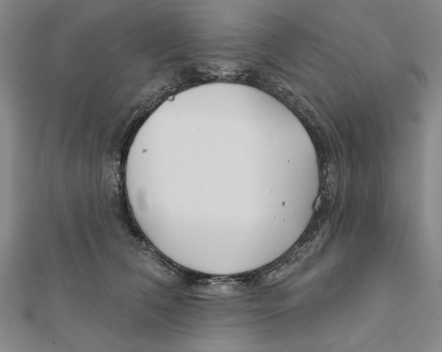 X0000111670612200908141430