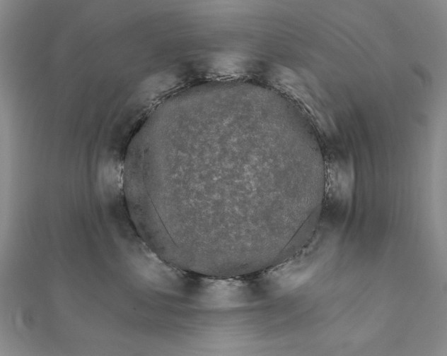 X0000111670621200908141430