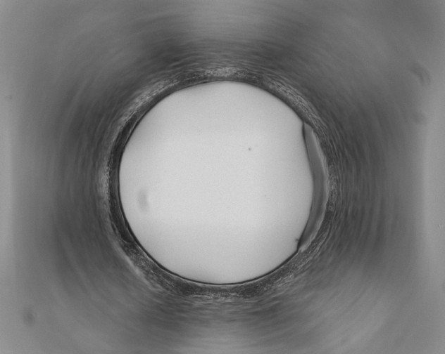 X0000111670626200908141429