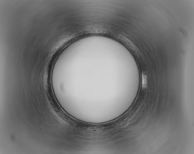 X0000111670627200908141429