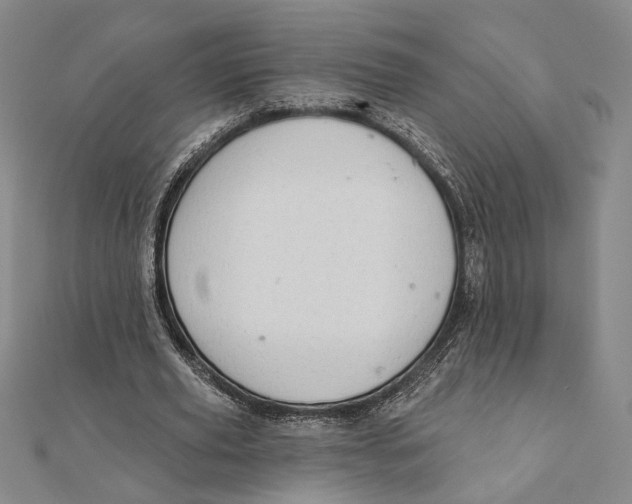 X0000111670629200908141429