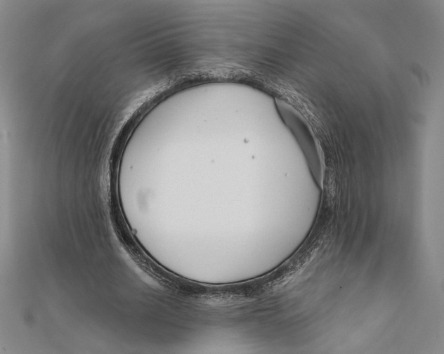 X0000111670630200908141429