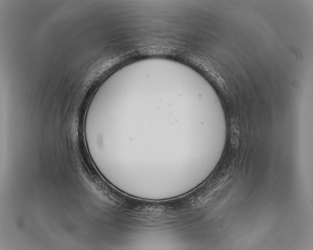 X0000111670631200908141429