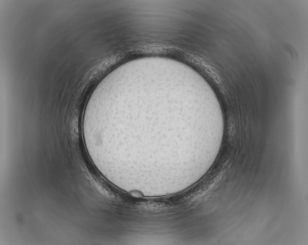 X0000111670633200908141429