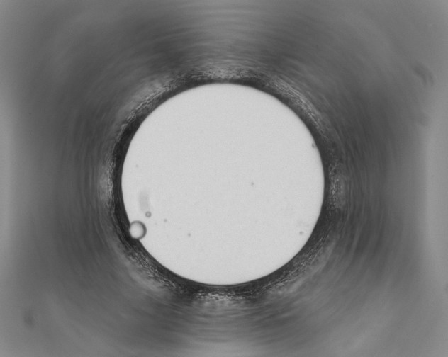 X0000111670635200908141429