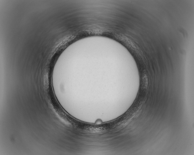 X0000111670638200908141429