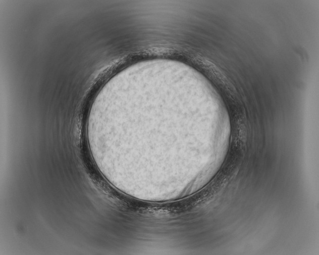 X0000111670640200908141429