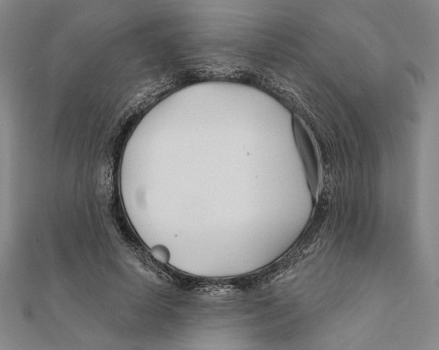 X0000111670642200908141429