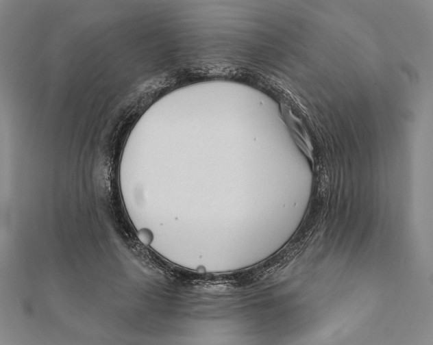 X0000111670643200908141429