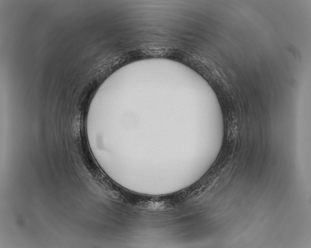 X0000111670647200908141429