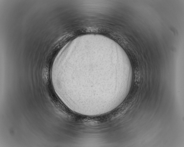 X0000111670648200908141429