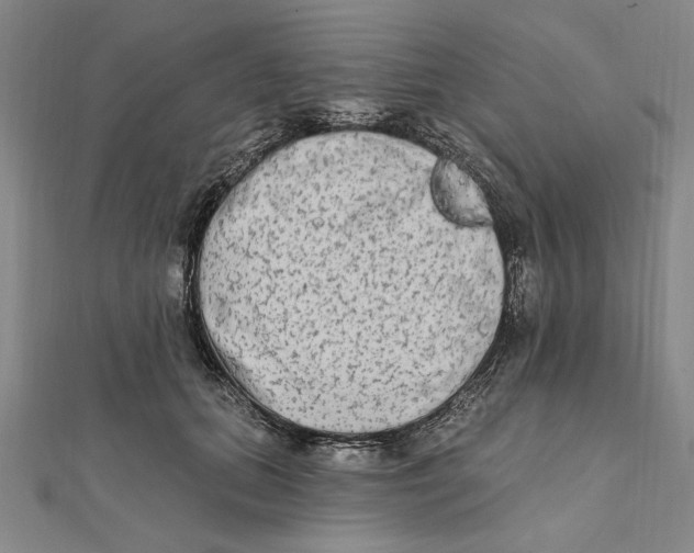 X0000111670655200908141430