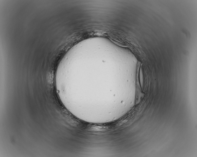 X0000111670657200908141430