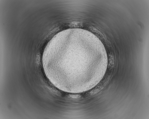 X0000111670659200908141430