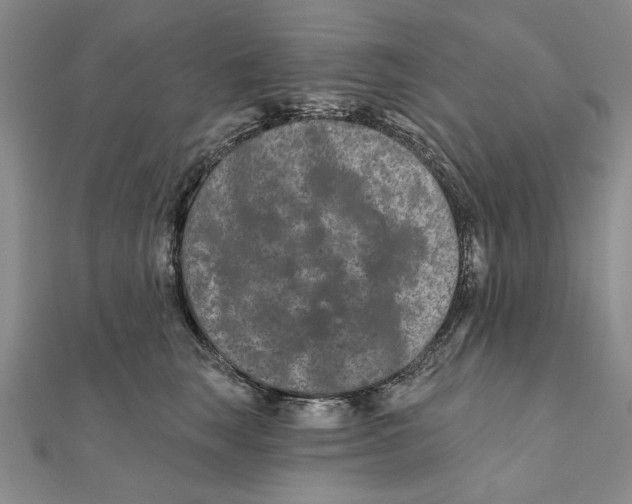 X0000111670663200908141430