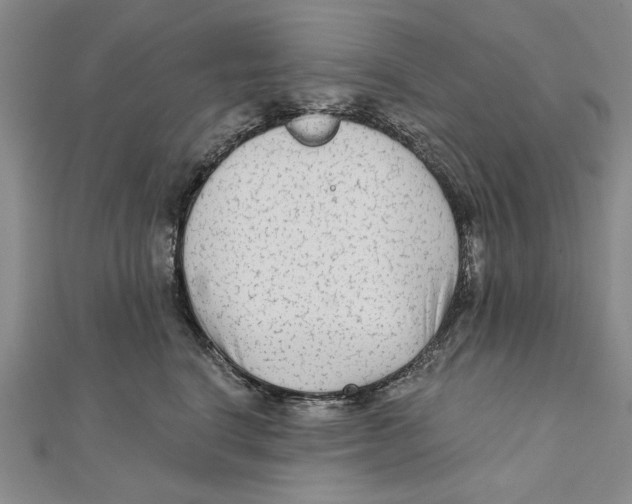 X0000111670664200908141430