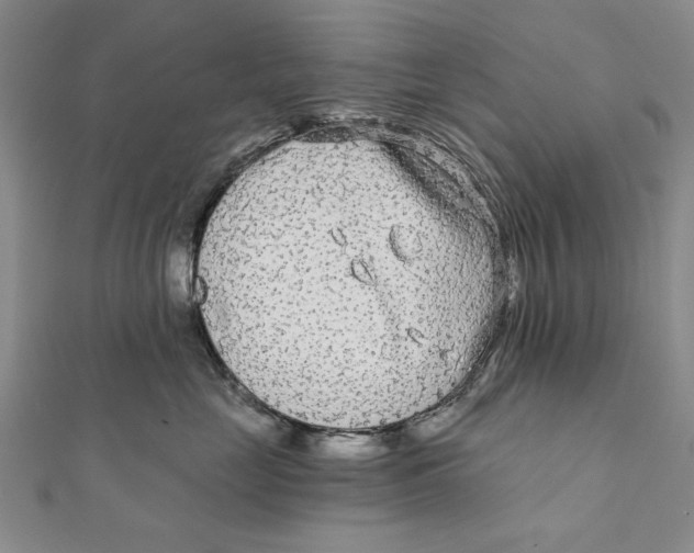 X0000111670669200908141430