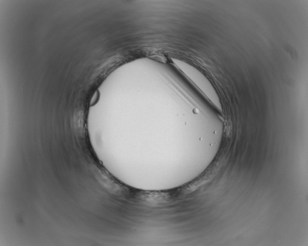 X0000111670670200908141430