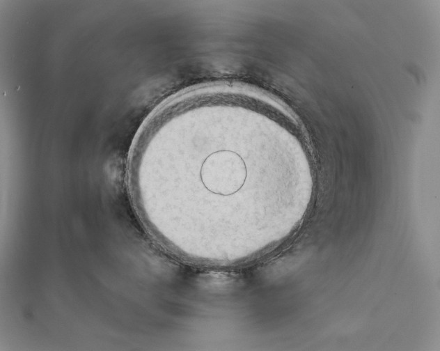 X0000111670672200908141430